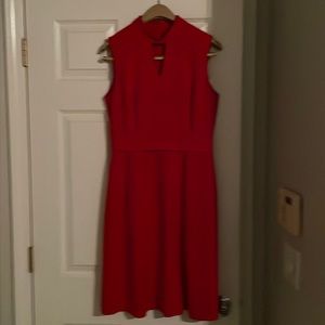 Tahari. Knit knee-length dress in royal red for office then happy hour! Size 6.